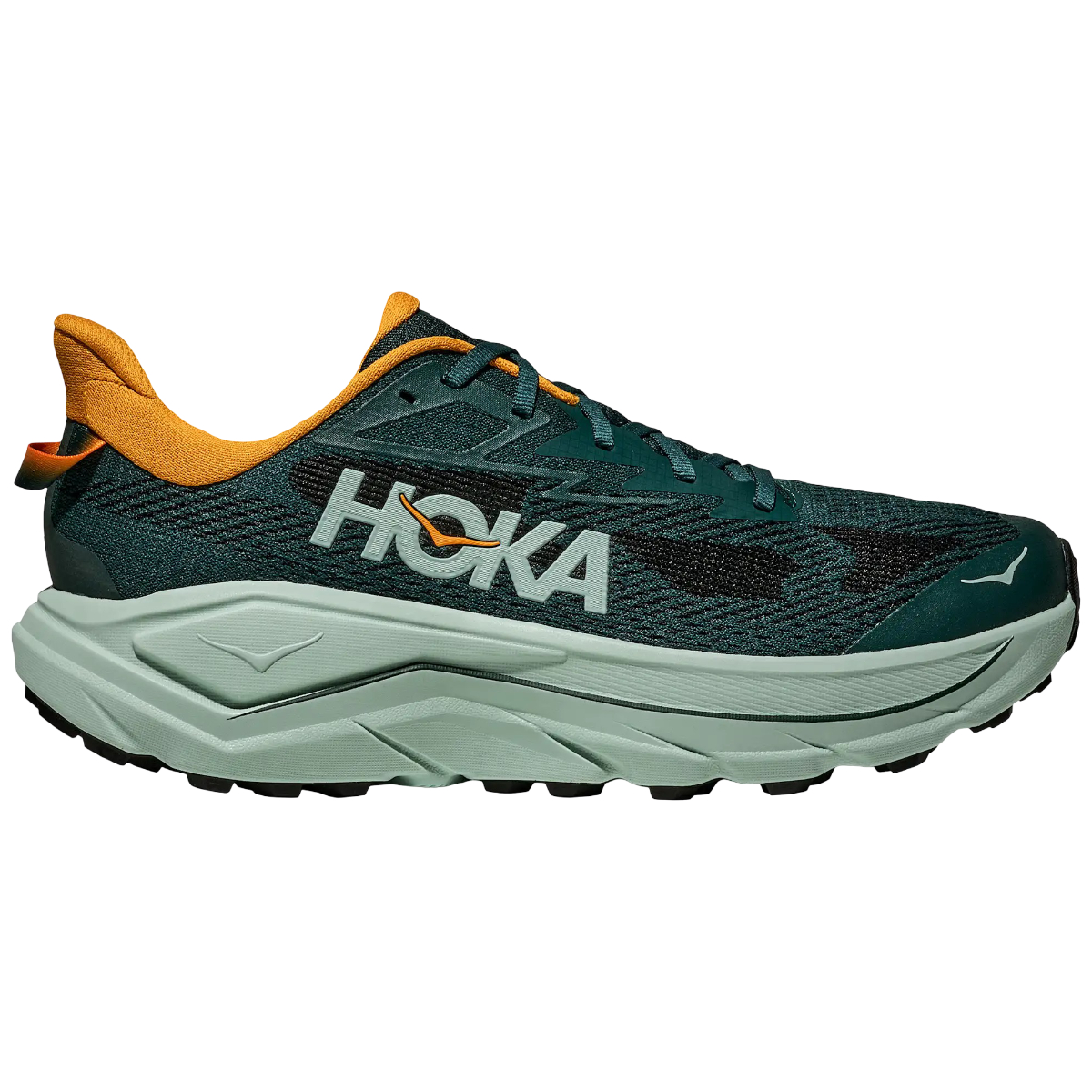 Pantofi Hoka Speedgoat pe teren stâncos umed cu crampoane Vibram vizibile